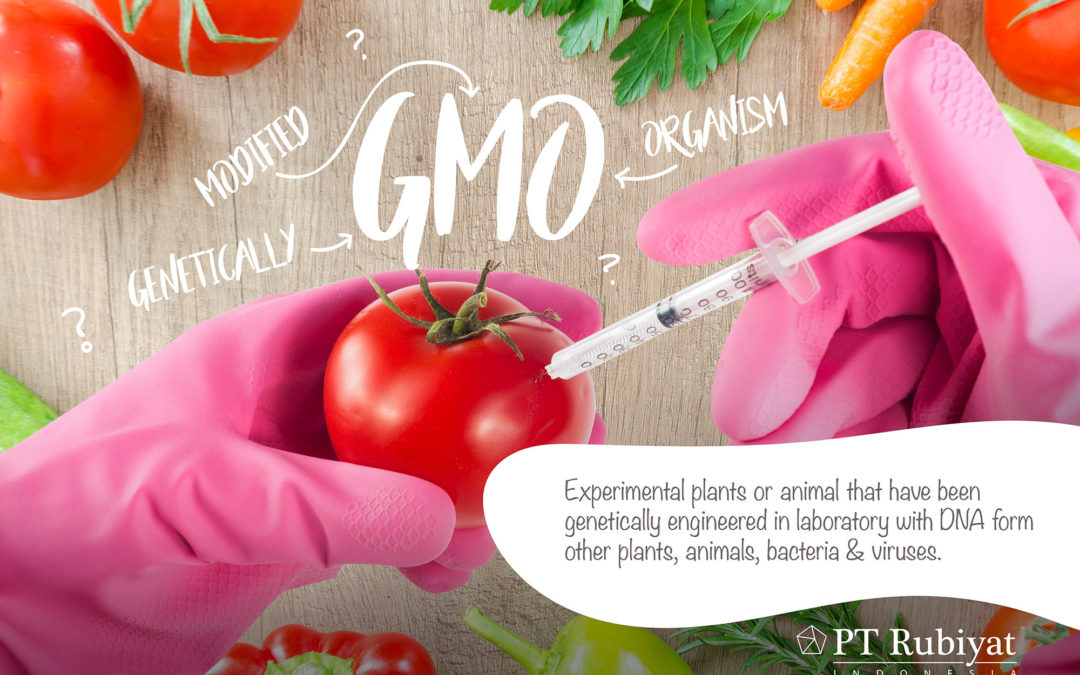 GMO (Genetic Modified Organism)